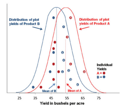 Yield distribution and individual yields of eleven individual plots among two seed products. 